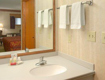 Hotel Ramada By Wyndham & Saginaw